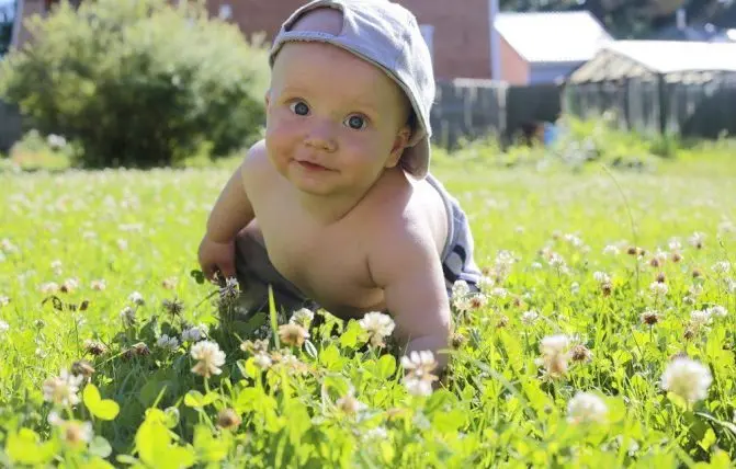 bambino gattona nel prato