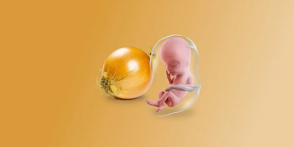 Feto grande come una cipolla alla tredicesima settimana di gravidanza