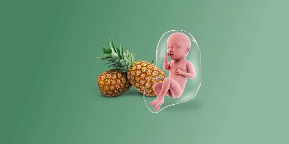 Dimensioni di un ananas di un feto alla trentaduesima settimana di gravidanza