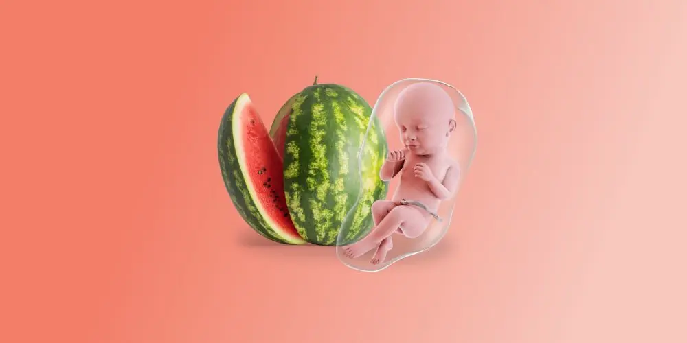 Feto grande come un’anguria alla quarantesima settimana di gravidanza